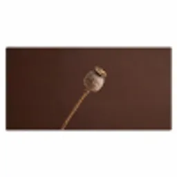 Papaverbol - Droogbloem - Bruin - Minimalistisch Muismat XXL klein -3d_leeg