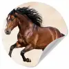 Paard - Galop - Energie Wandcirkel behangsticker klein -3d