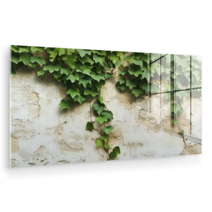 Klimop - Muur - Groen plexiglas 5mm klein -zzzproduct_nieuw
