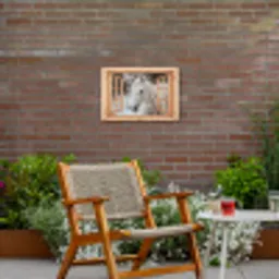 Doorkijk - Paard - Wit - Winter - Sneeuw - Dieren Tuinposter op houten frame 2 cm dik klein -sfeer3
