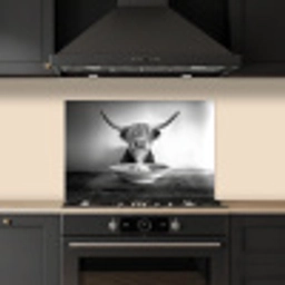 Schotse Hooglander - Spaghetti - Dieren - Zwart wit keuken achterwand spatscherm klein -sfeer1