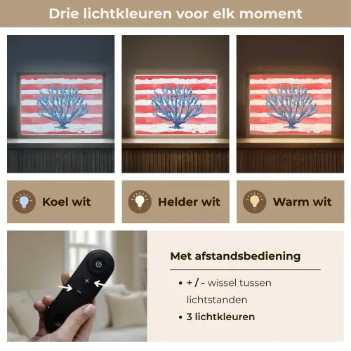 Koraal - Verfstructuur - Rood - Blauw Light Box met batterij (Wandlamp) middel -USP_lichtkleurNL