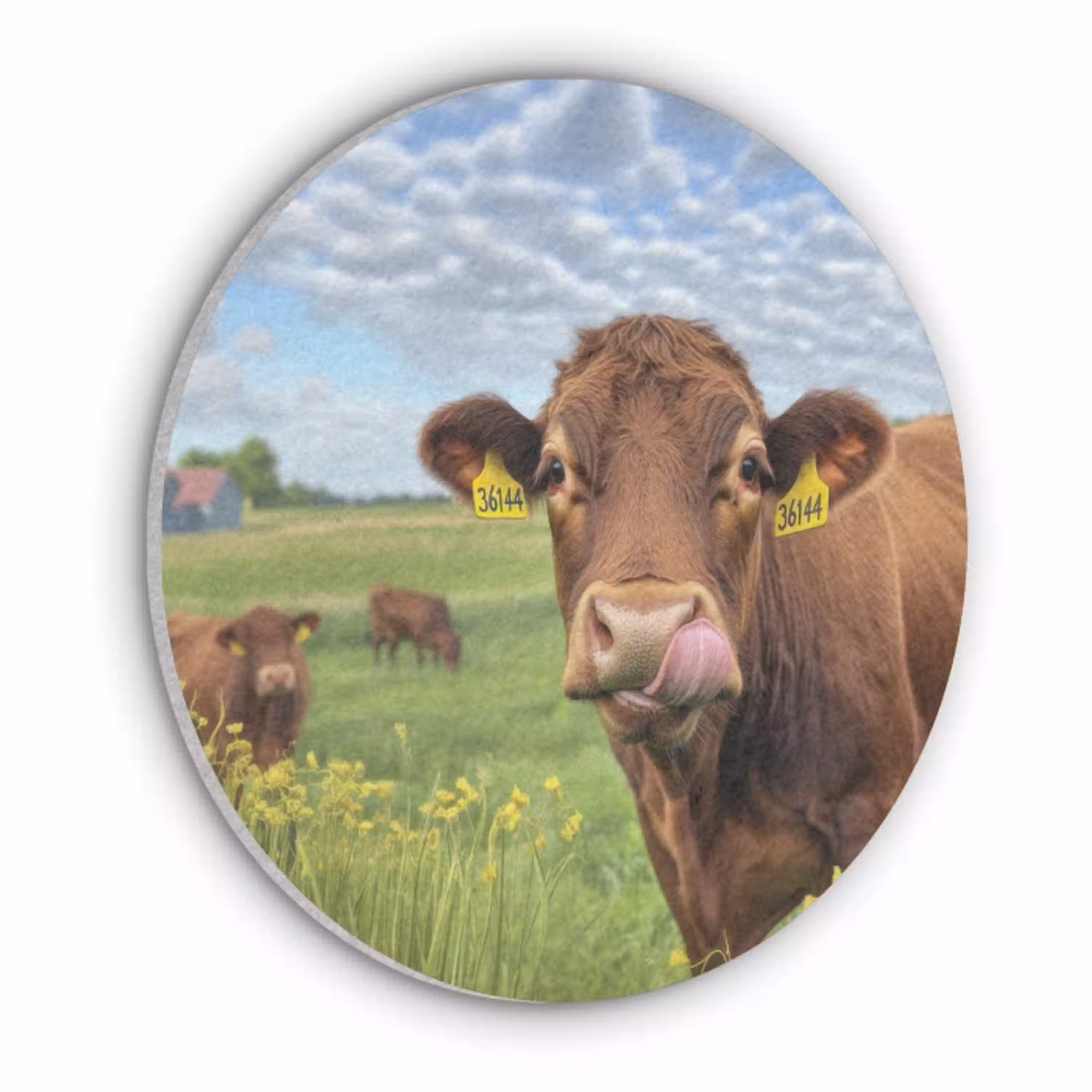 Koe - Weide - Bloemen Akoestische PET Vilt - Rond klein -3d