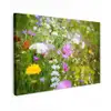 Bloemen - Natuur - Groen - Gras - Paars - Wit Tuinposter op houten frame 2 cm dik klein -3d