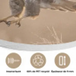 Buizerd - Roofvogel - Natuur - Bruin Akoestische PET Vilt - Rond klein -closeup_FR