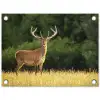 Hert - Gewei - Gras - Natuur - Dieren - Groen tuinposter los doek klein -3d
