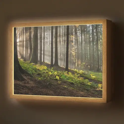 Zon - Takken - Bomen - Bos - Natuur Light Box met batterij (Wandlamp) middel -z3d_website