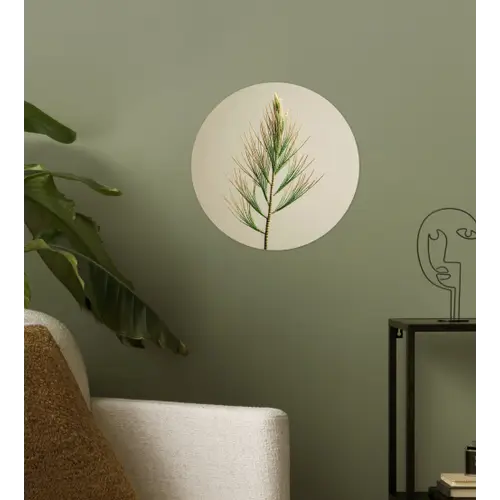 Dennentak - Naaldvormige bladeren - Lichtgroen Wandcirkel behangsticker klein -sfeer2