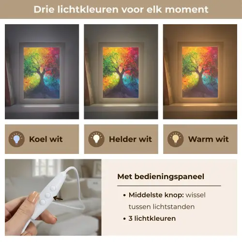 Boom - Kleurrijk - Modern - Abstract Light Box met kabel (Tafellamp) klein -USP_lichtkleurNL