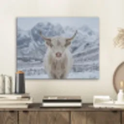 Schotse Hooglander - Sneeuw - Bergen - Winter PET vilt klein -sfeer1