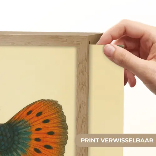 Vis - illustratie - Stippen - Oranje Light Box met batterij (Wandlamp) middel -USP_websiteprintNL