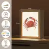 Krab - Felrood - Poten Light Box met kabel (Tafellamp) klein -USP_NL