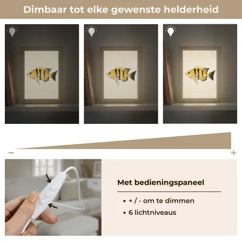 Geel - Vis - Strepen - Tropisch Light Box met kabel (Tafellamp) klein -USP_dimbaarNL