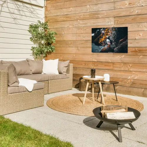 Papegaai - Vogel - Rots - Wit Tuinposter op houten frame 2 cm dik klein -sfeer2