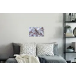 Pestvogel - Bessen - Winter - Natuur Muursticker klein -slaapkamer