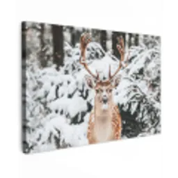 Hert - Sneeuw - Winter - Bos - Dieren Tuinposter op houten frame 2 cm dik klein -3d