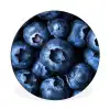 Bessen - Blauw - Fruit Wandcirkel aluminium klein -3d