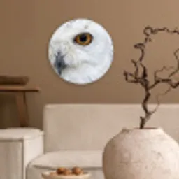 Sneeuwuil - Oog - Wildlife - Wit Wandcirkel kunststof plaat 5mm dik klein -sfeer1