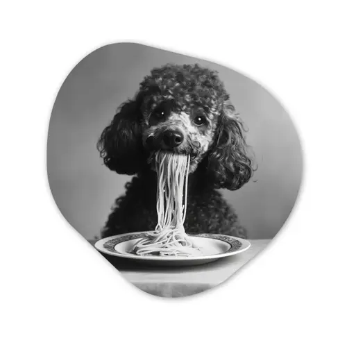 Poedel - Hond - Zwart - Wit - Schattig - Pasta Wandcirkel Organisch Plexiglas middel -3d