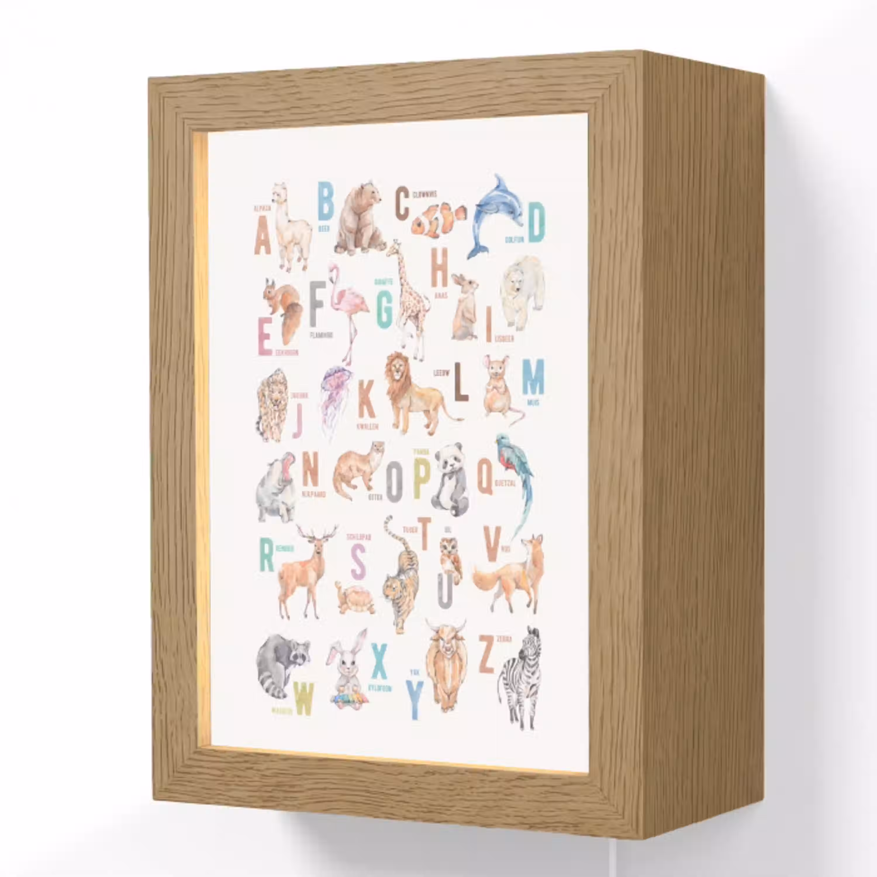Alfabet - Educatief - Letters leren voor kinderen - Wilde dieren - Kleurrijk Light Box met kabel (Wandlamp kind) klein -3d