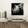 Dieren - Neushoorn - Zwart - Wit - Portret aluminium wit klein -sfeer1