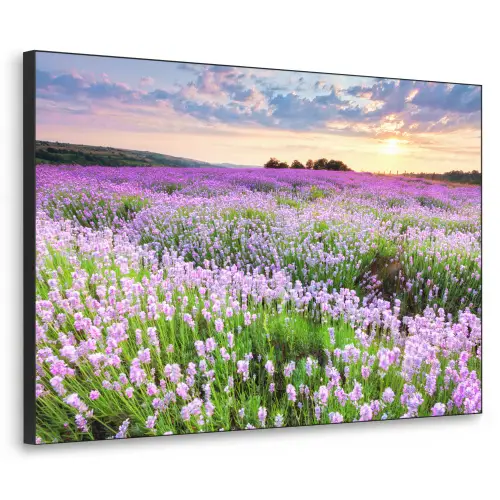 Lavendel - Bloemen - Zonsondergang - Paars - Weide Textielframe zwart klein -3d