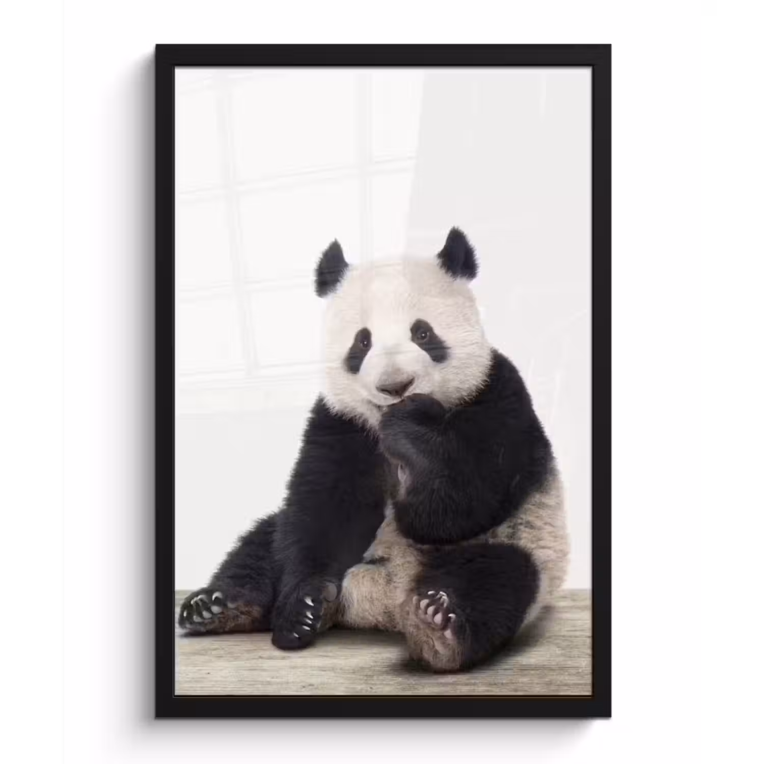 Poster met lijst - Panda -  Dieren - Kinderen - Jongens - Meisjes - Pandabeer