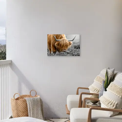 Schotse Hooglander - Dieren - Bruin - Koe - Zwart - Wit - Natuur Tuinposter op houten frame 2 cm dik klein -sfeer1