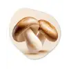 Champignons - Zacht - Beige Wandcirkel Organisch Aluminium middel -3d