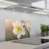 Narcis - Bloem - Minimalistisch keuken achterwand spatscherm klein -3d_schuin