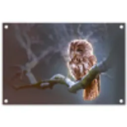 Vogel - Uil - Steenuil tuinposter los doek klein -3d