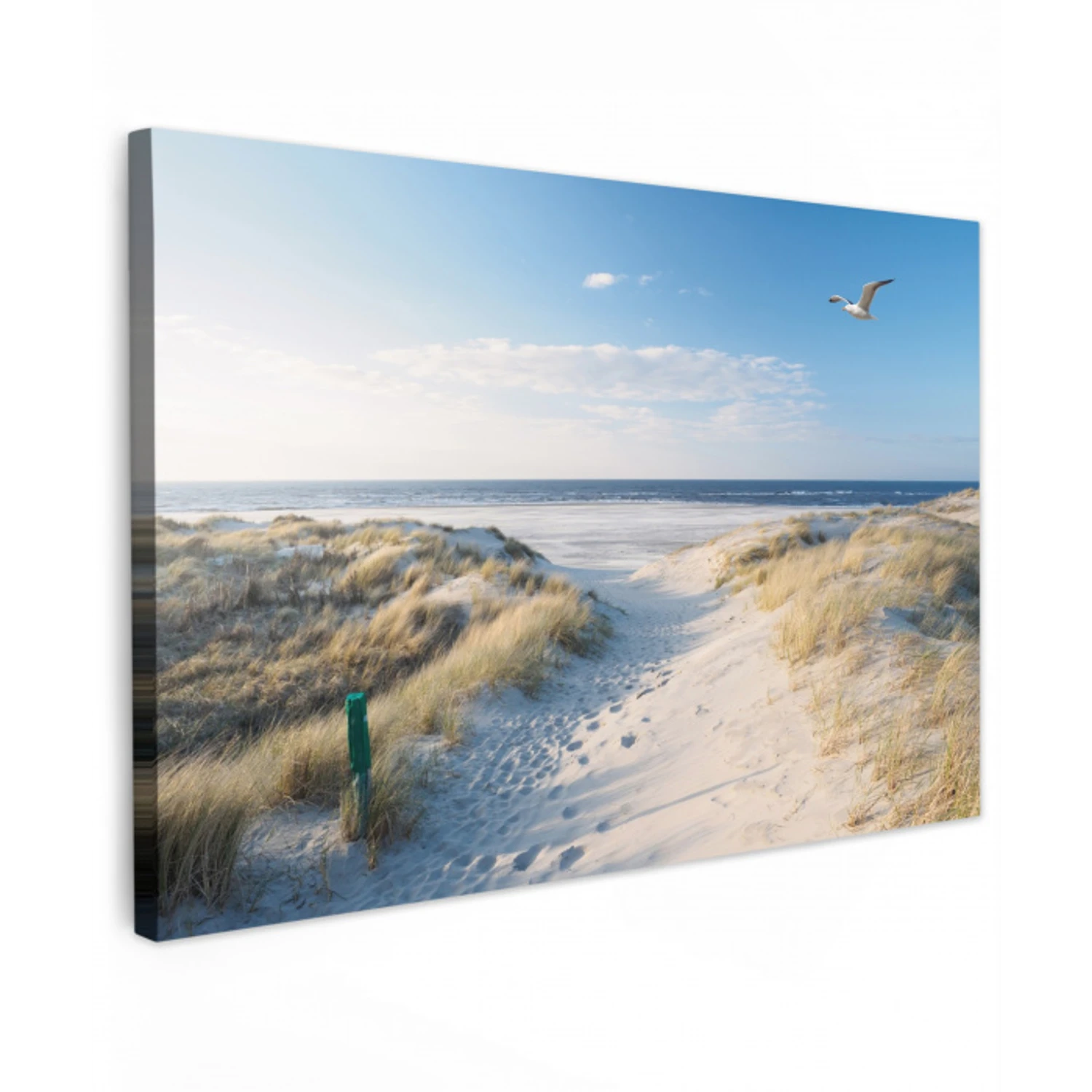 Strand en Zee Tuinposter op houten frame 2 cm dik klein -3d