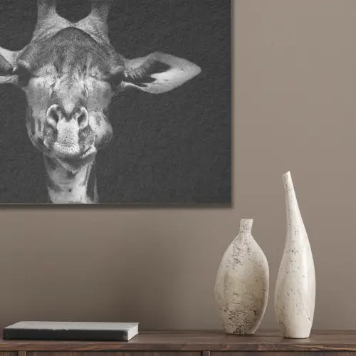 Giraffe - Portret - Dieren - Zwart - Wit PET vilt klein -sfeer6_closeup