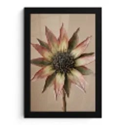 Droogbloem - Protea - Vintage - Beige - Rustiek fotolijst zwart zonder passe partout klein -3d