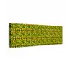 Dieren - Neon - Groen - Panterprint canvas 2cm klein 828 -z3d