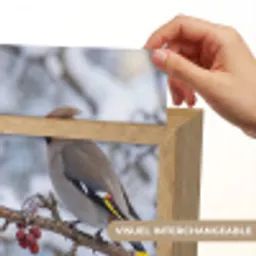 Pestvogel - Bessen - Winter - Natuur Light Box met kabel (Kinderlampje) klein -USP_websiteprintFR