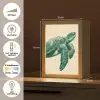 Schildpad - Sierlijk - Groen - Schild Light Box met kabel (Tafellamp) klein -USP_NL