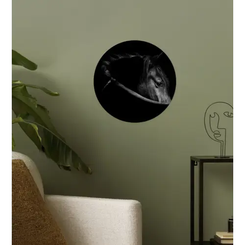 Paarden - Portret - Zwart - Dieren Wandcirkel behangsticker klein -sfeer2