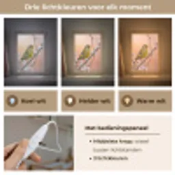 Groenling - Katjes - Lente - Natuur - Zacht Light Box met kabel (Kinderlampje) klein -USP_lichtkleurNL