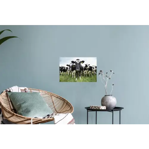 Koeien - Gras - Lente - Dieren - Weiland - Boerderij Muursticker klein -plant