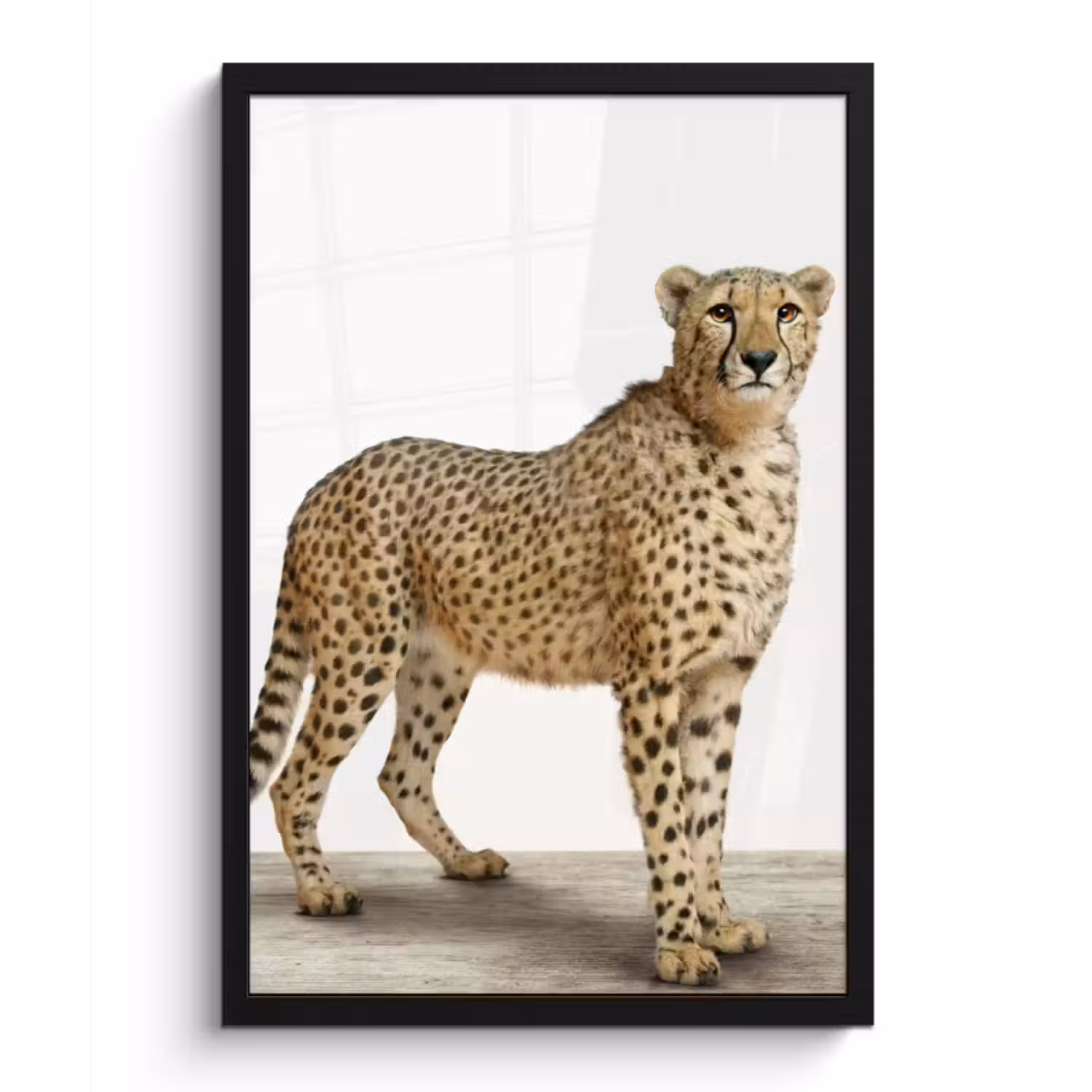 Poster met lijst - Luipaard - Dieren - Witte achtergrond - Kinderen - Jongens - Meisjes
