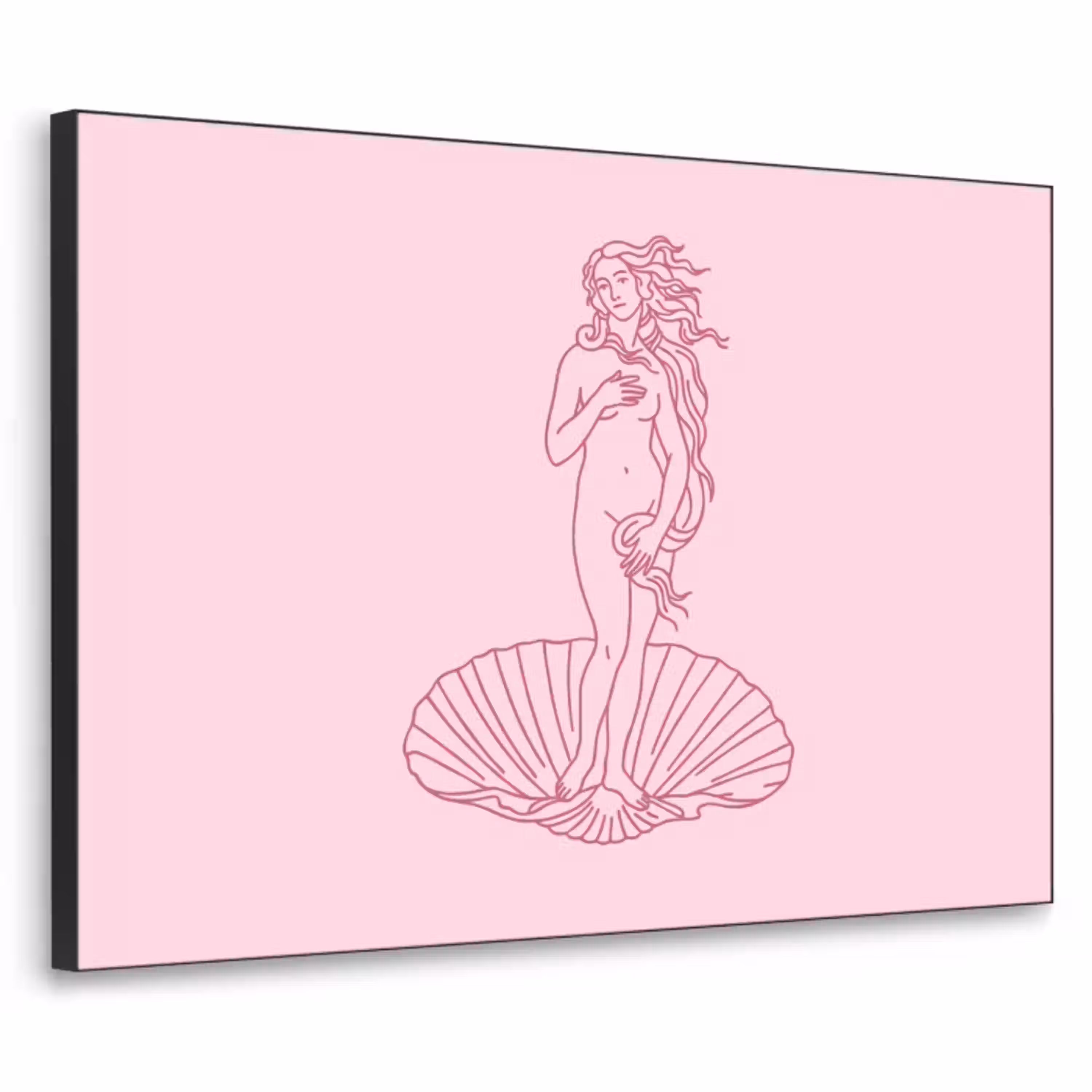 Vrouw - Schelp - Kunst - Lijntekening - Roze Textielframe zwart klein -3d