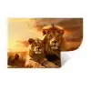 Leeuwen - Zonsondergang - Afrika - Savanne - Dieren Muursticker klein -3d