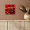 Close up - Bloem - Quote - Rood aluminium wit klein -sfeer4