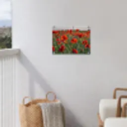 Klaprozenveld bij zonsondergang tuinposter los doek klein -sfeer8