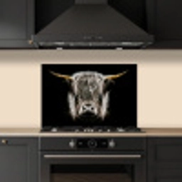 Schotse hooglander - Goud - Hoorns - Zwart wit - Koe - Dieren keuken achterwand spatscherm klein -sfeer1