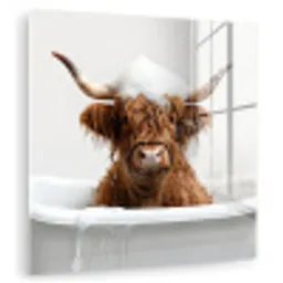 Schotse Hooglander - Bad - Koe - Dieren - Schuim plexiglas 5mm klein -zzzproduct_nieuw