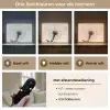 Paardenbloem - Minimalistisch - Wit Light Box met batterij (Wandlamp) middel -USP_lichtkleurNL