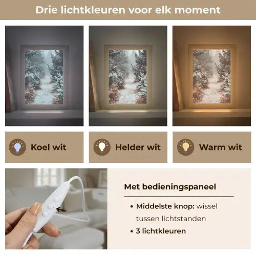 Bos - Winter - Bomen - Natuur - Pad - Sneeuw Light Box met kabel (Tafellamp) klein -USP_lichtkleurNL
