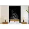Paarden - Portret - Zwart - Dieren fotobehang vinyl groot -bed